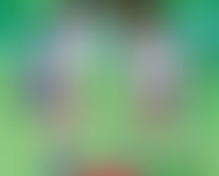 Canvas X 2019 19.0.319.0 Medicine[BabuPC] Serial Key Keygen Ophyell