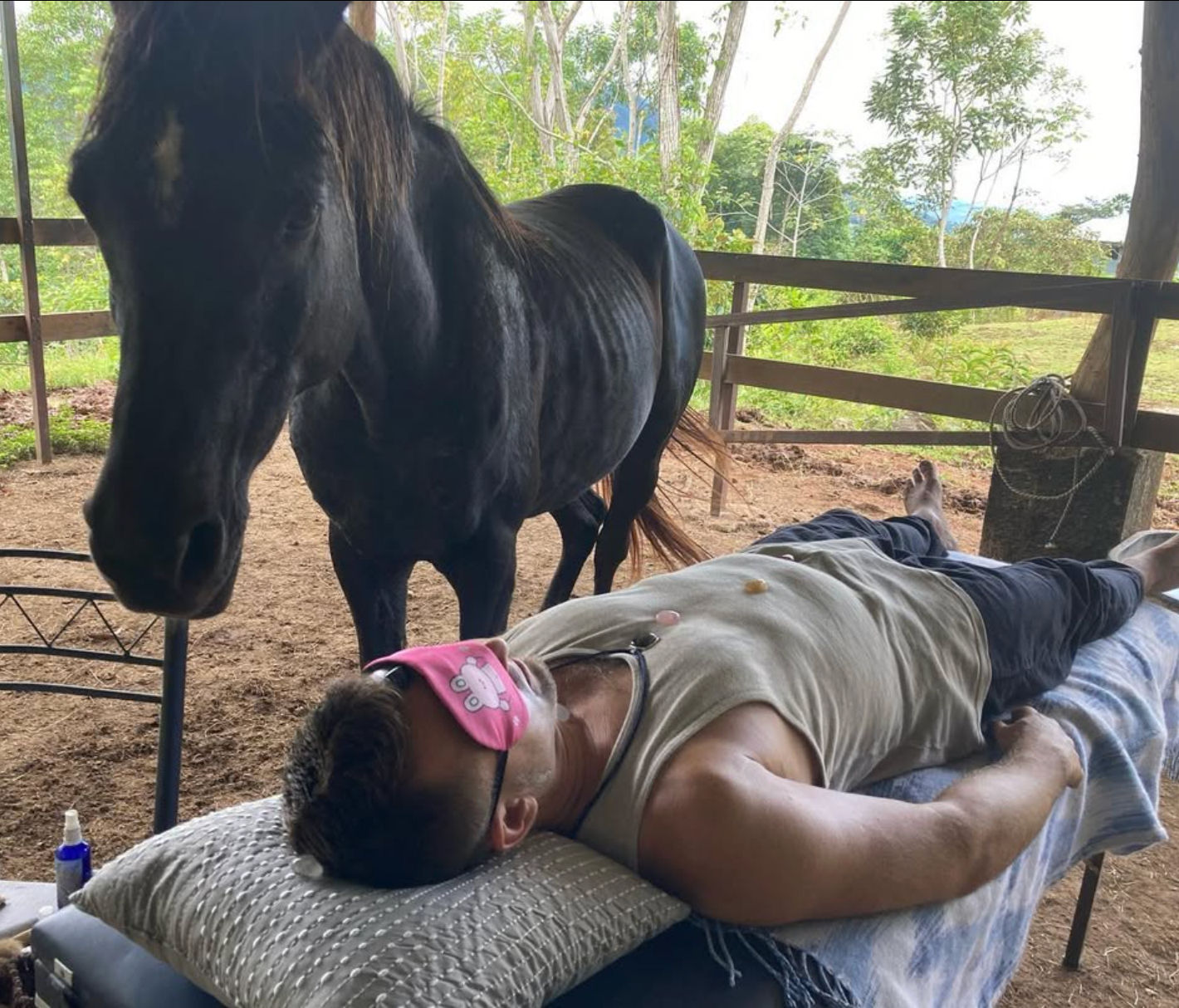 REIKI WITH HORSES