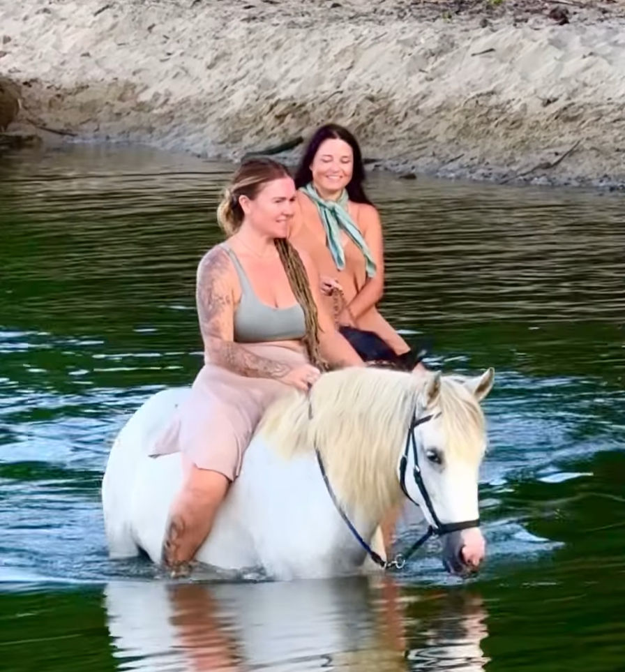 Swim With Horses