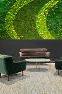 Commercial moss wall before maintenance by Forage and Design Calgary