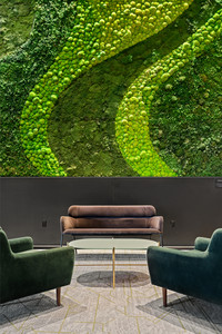 Commercial moss wall after maintenance by Forage and Design Calgary