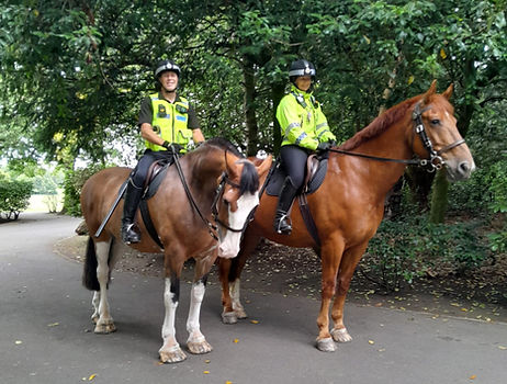 Officers from Northumbria Police Mounted Section in Saltwell Park Gateshead 22 July 2025