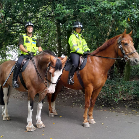 Officers from Northumbria Police Mounted Section in Saltwell Park Gateshead 22 July 202522/07/2025