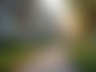 Home Insurance for Your Ontario Rental Property: What You Need to Know About Rental Property Insurance Ontario