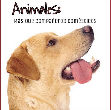 Animales: Compañeros domésticos y terapéuticos