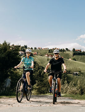 Genussradeln 17 (c) Schilcherland Steiermark - nadinegeuterphotography.jpg