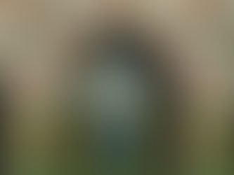 Cottage by the Sea - Quilting Fabric Collection