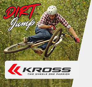 dirt jump bicicleta kross spade 2.0.png