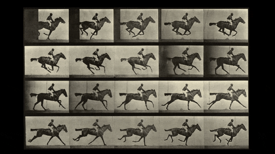 Muybridge filmmaker