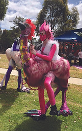 Emu.jpg