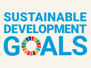 The UN Sustainable Development Goals
