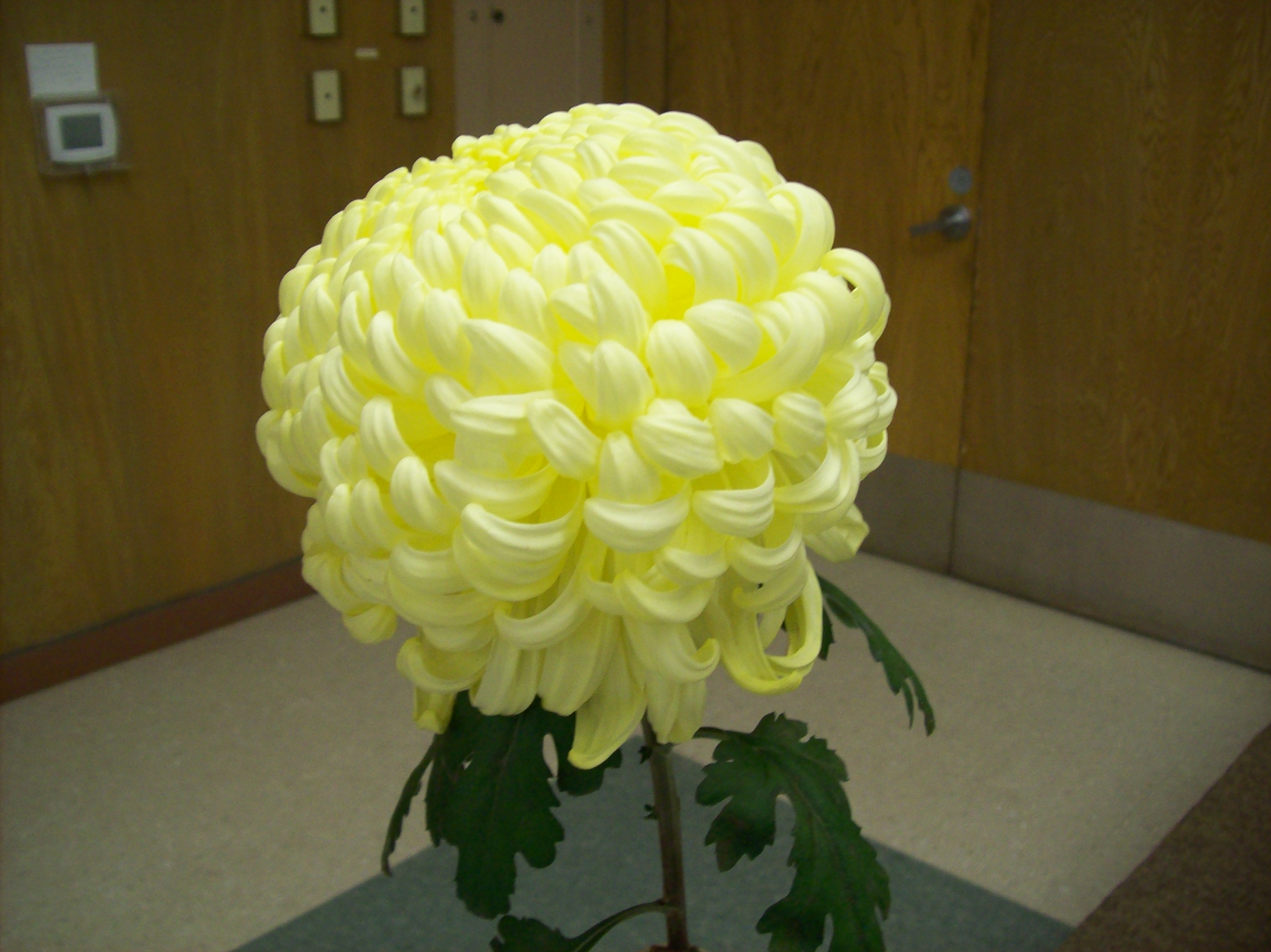 Flor Grande