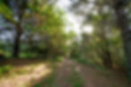 Broughton Estate, Colleen Glen 04 (69 of 80)
