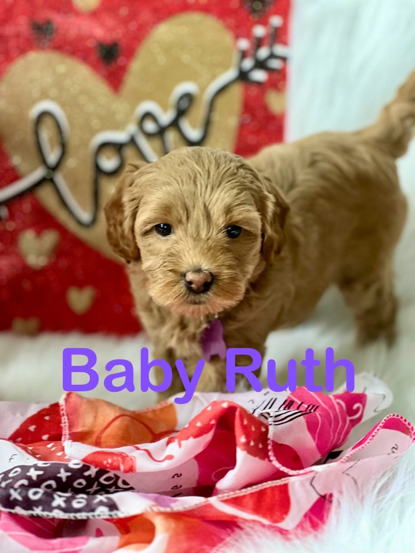 Baby Ruth - Girl