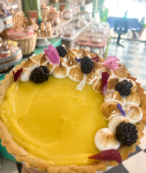 Photo Feb 16 2023, 1 38 47 PM.jpg