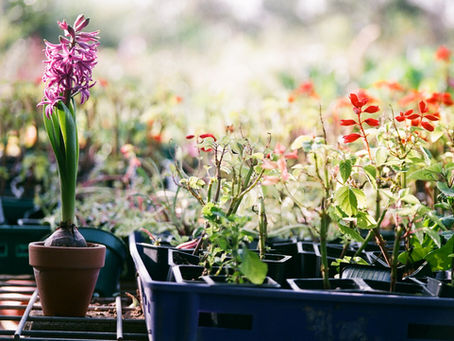 The Best Landscaping Tip of All Time