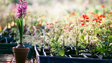 24년 4월 보라웨어 솔루션 업데이트 안내