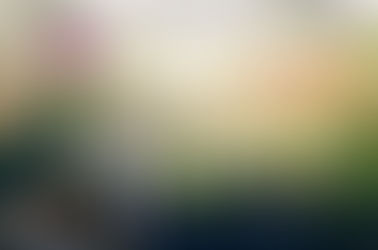 March in the Georgia Garden: