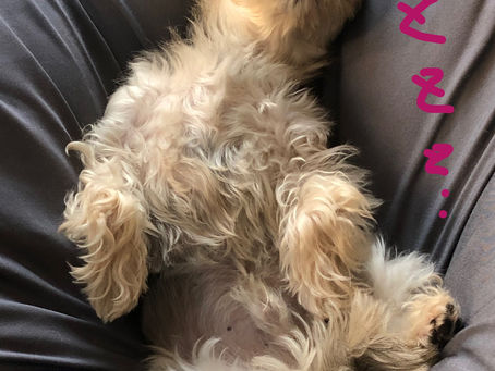 兄さん、なんっすか、そのお姿!?