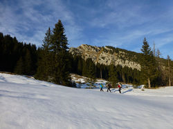 Raquette à neige - Watse