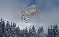 Raquette à neige - Watse