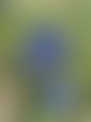 Repérage en Vanoise