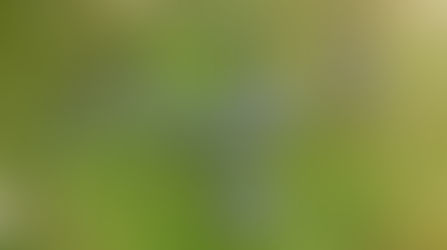 Repérage d'un itinéraire au Grand Paradis