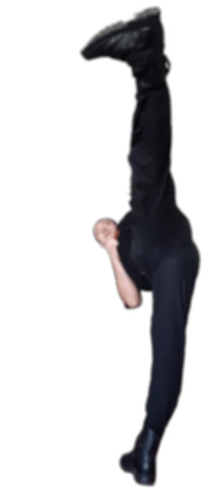 Taekwondo Coach doing Side Kick