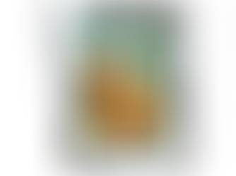 The Inspiration Behind "Bayou Babies and the Big Sneaux Day"