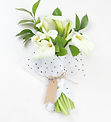 White Calla Lilies