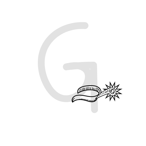 Web design projects shelbyivey