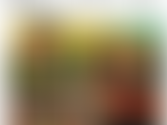 Four Souls of Coyote - Review on Movie Nation