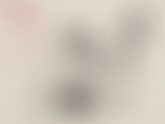 小麦粉価格改定について