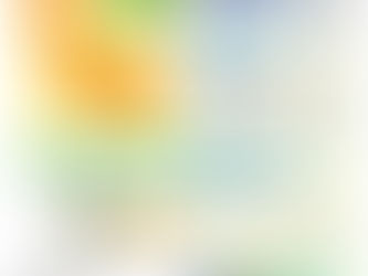 吸油が少ないフライオイル（日清オイリオ）