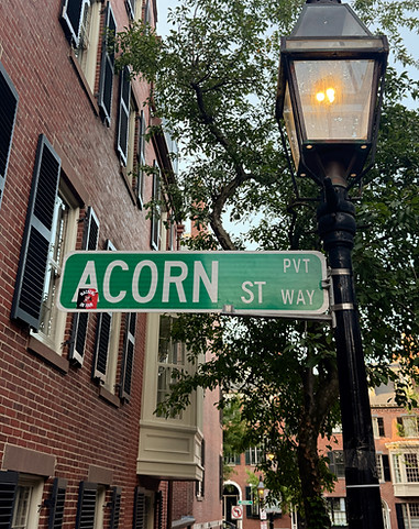 Acorn Street Beacon Hill