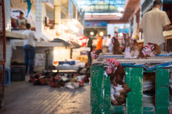 Marrakech, Morocco