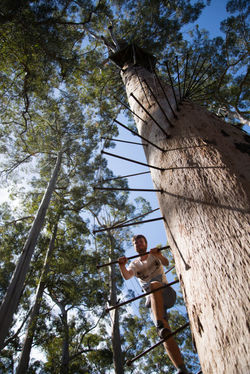 Pemberton, Australia