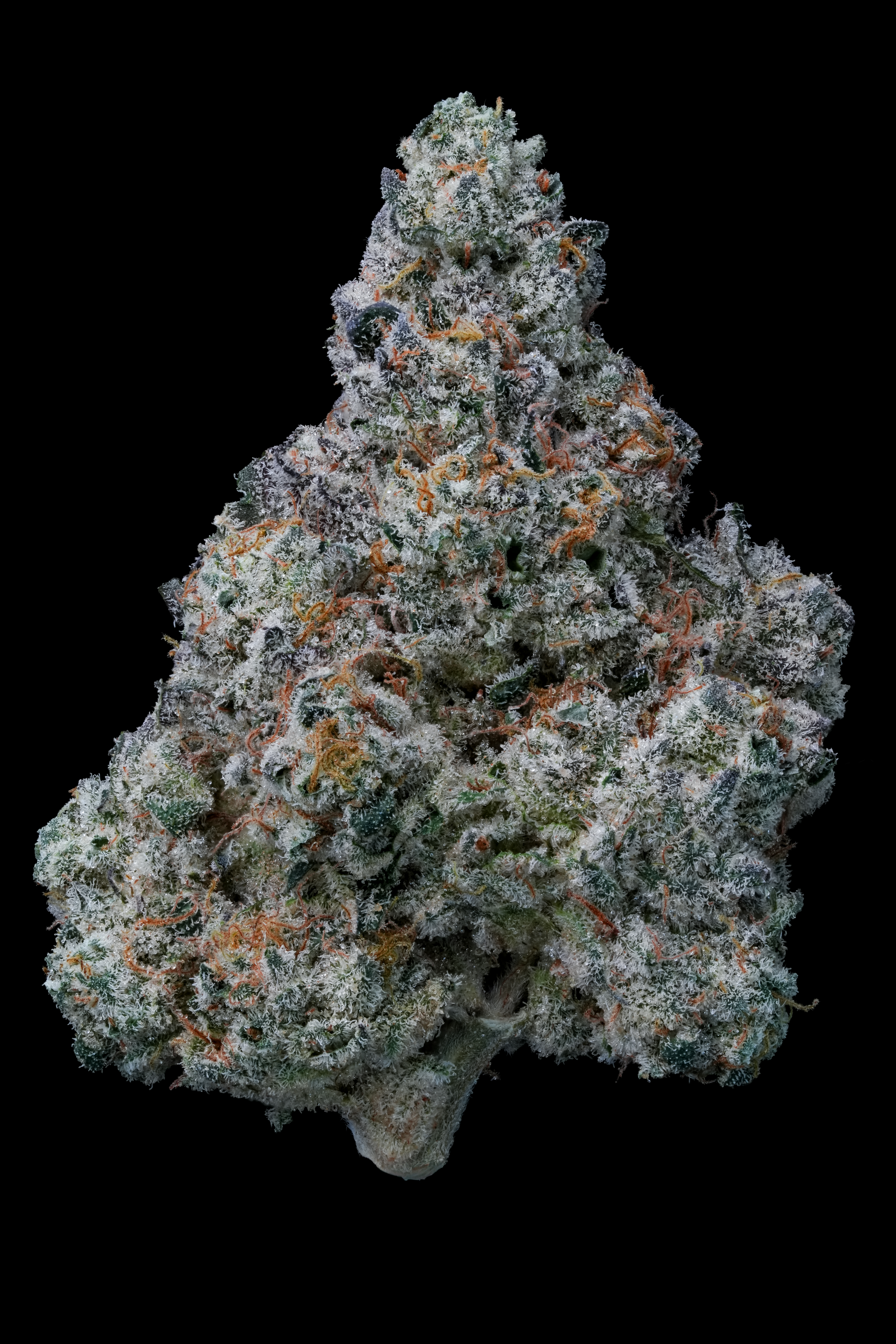 Aether Fields products available at LAXCC dispensary in Los Angeles near LAX Airport