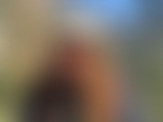 American Dreams chega às principais livrarias do Brasil e dos Estados Unidos