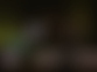 Duo Palheta ao Piano apresenta concerto gratuito nesta sexta (30)