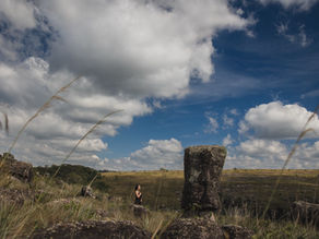 Artista curitibana expõe nos Campos Gerais com obras que unem arte e ecologia
