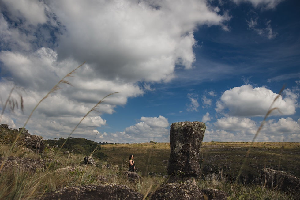 Artista curitibana expõe nos Campos Gerais com obras que unem arte e ecologia