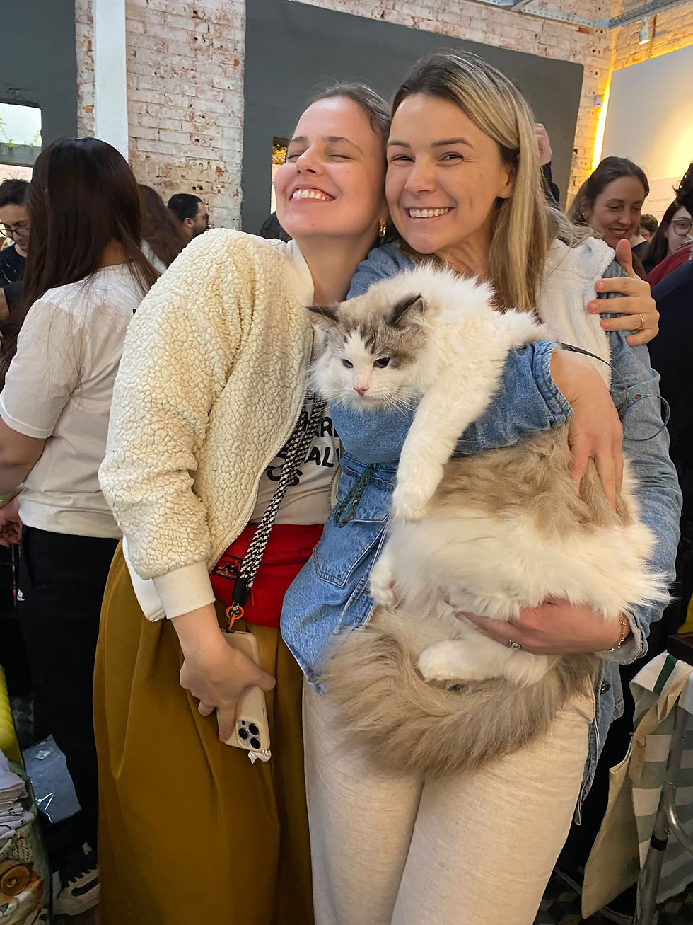Evento dedicado ao universo felino promove arrecadação para gatos resgatados pela ONG Crazy Cat Gang
