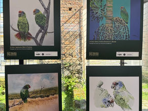 exposição internacional em antonina