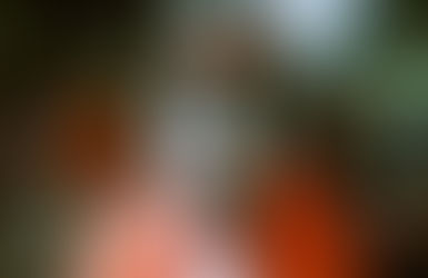 Curitiba entra no mapa do Carnaval com folia criativa e ocupação hoteleira em alta