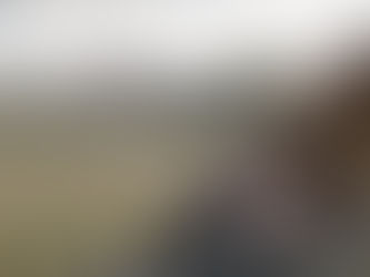 'Filhos da Tempestade' e 'Valan - Vale dos Anjos' estreiam no Cinema Virtual