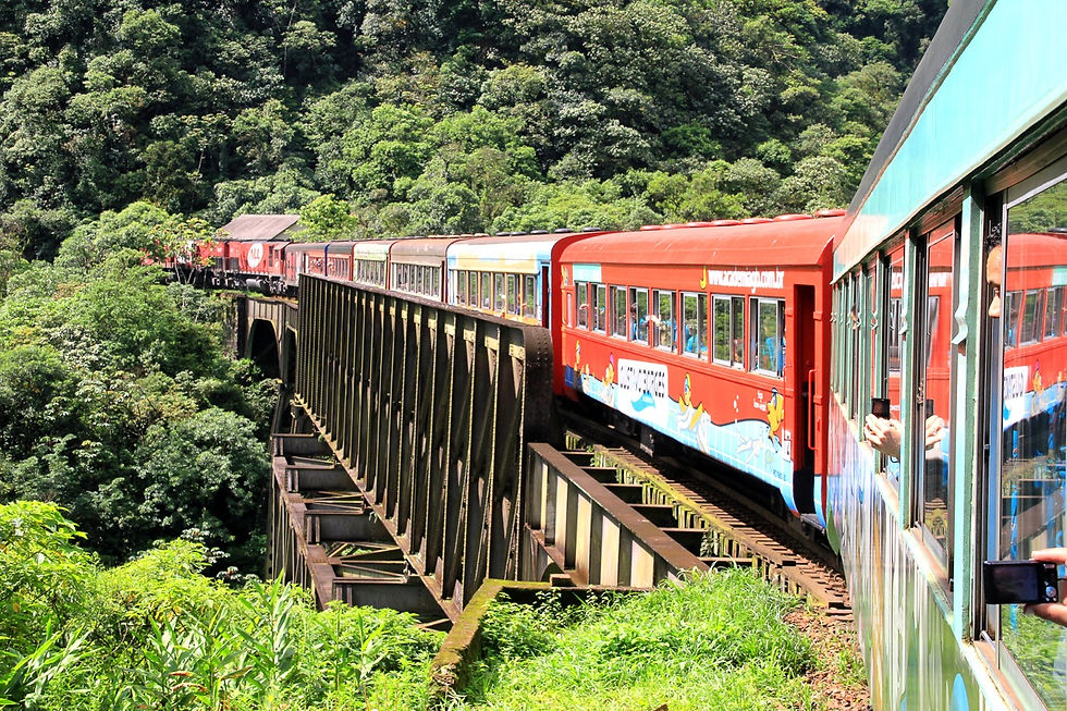 Trem da Serra do Mar Paranaense | Foto: Divulgação Serra Verde Express