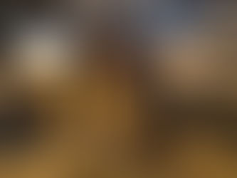 História e cultura de Arapongas serão valorizadas com esculturas de aves da fauna regional