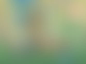 Três curtas-metragens de Curitiba são selecionados para festival internacional de animação