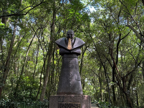 Trabalhando muito? Conheça 4 lugares para relaxar e desconectar em Curitiba